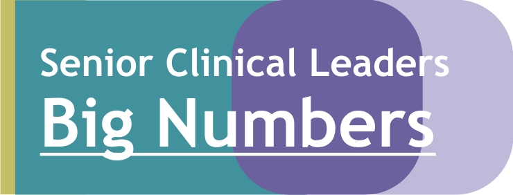 Big Numbers - Senior Clinical Leaders